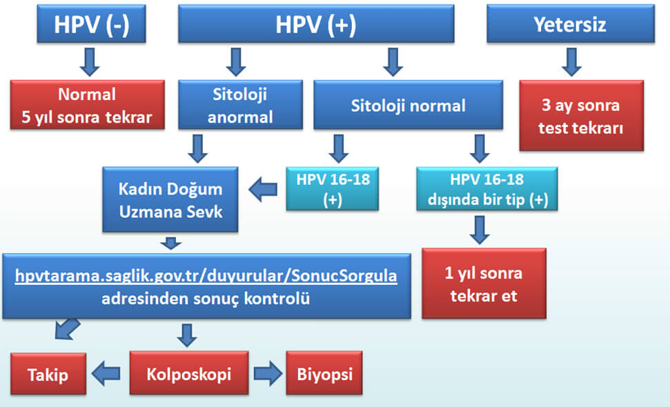 hpv tipleri