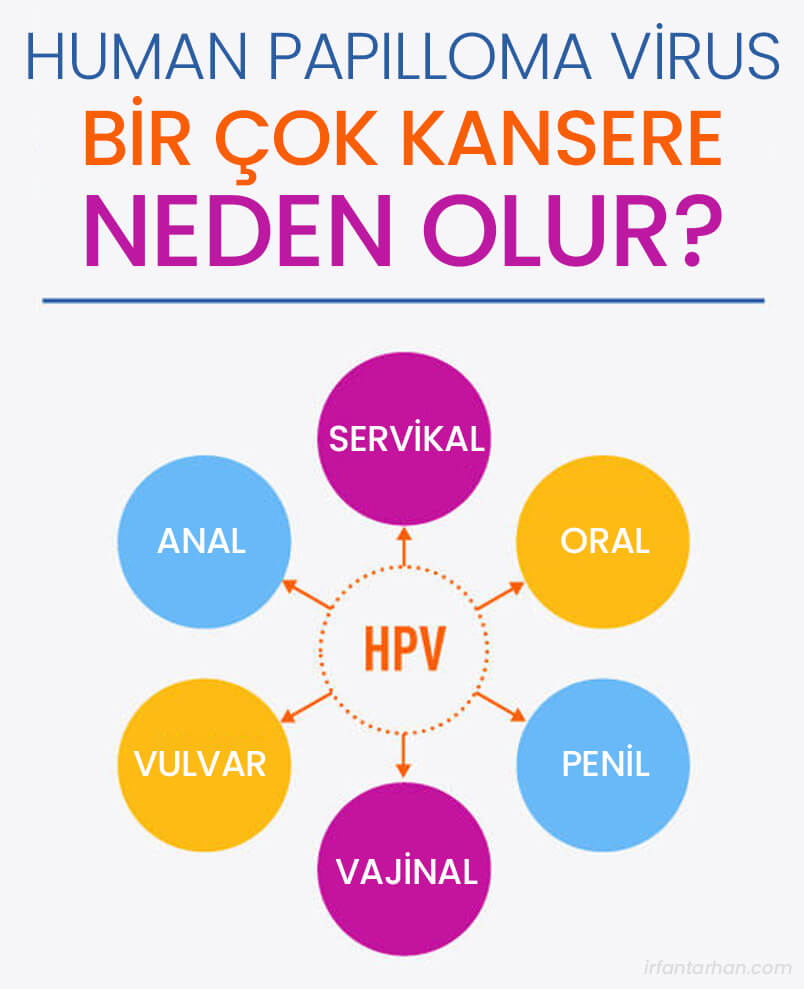 hpv çeşitleri