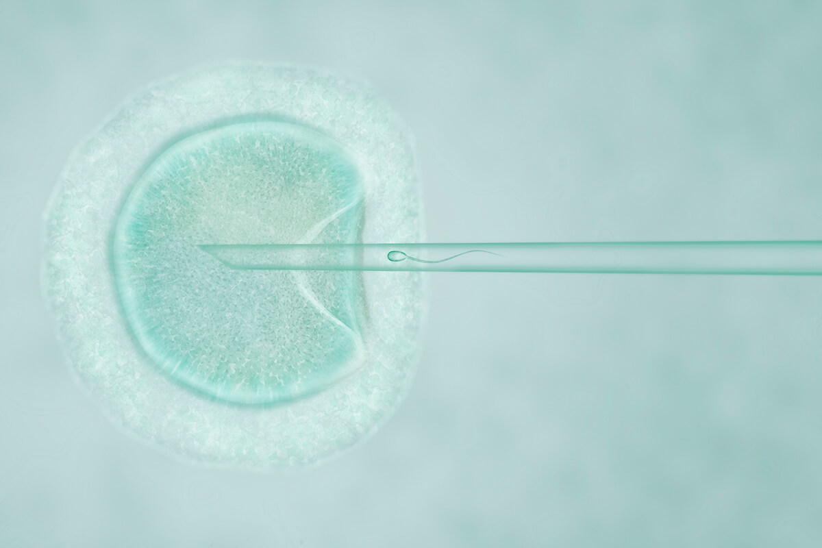 ivf tedavisi